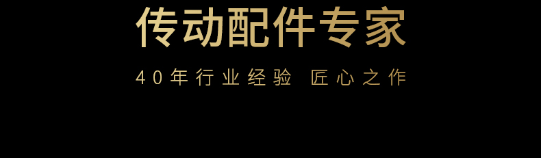 40年齒條導軌傳動配件專家品質保障